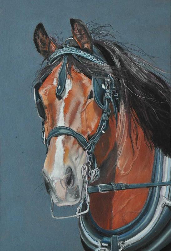 cheval att3.JPG -  Pastel format /size 40 x 50
